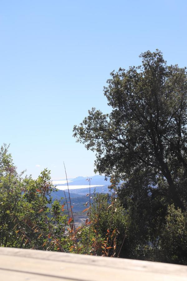 La Vela Bed and Breakfast Peille Εξωτερικό φωτογραφία